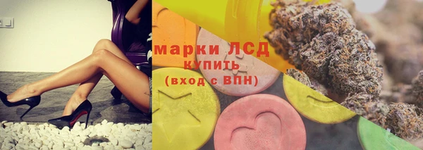 молекула духа Арсеньев