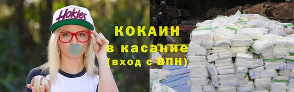 молекула духа Арсеньев