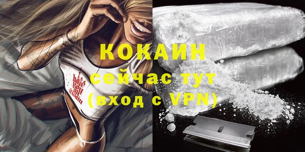 мескалин Заводоуковск