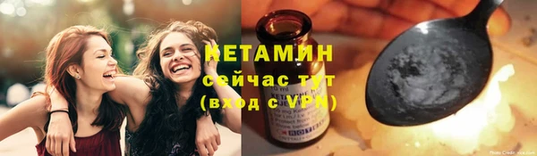 молекула духа Арсеньев
