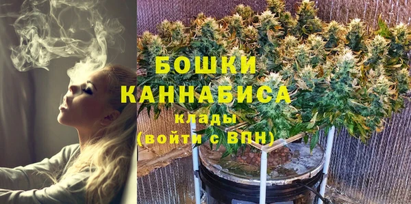 молекула духа Арсеньев