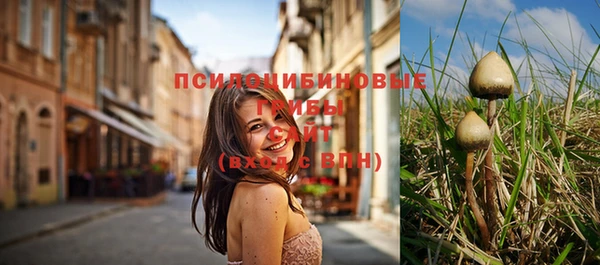 spice Заволжье