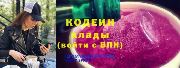 молекула духа Арсеньев