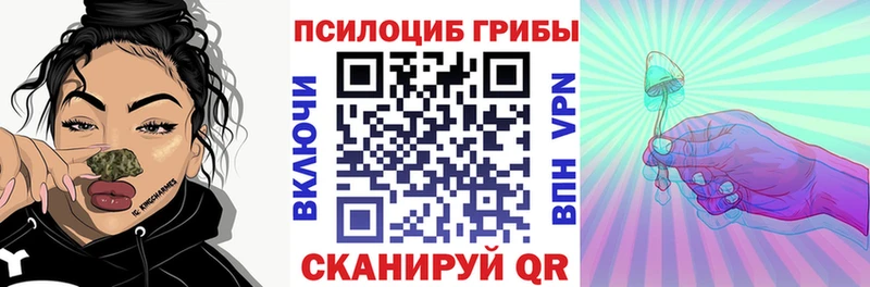 Галлюциногенные грибы Psilocybine cubensis  Усть-Джегута 